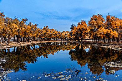 生化奇兵之父新作《犹大》无限期推迟 让人失望